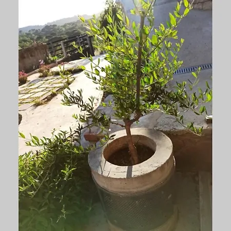 Corfu Tramezzo Designer's House